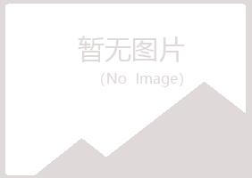 伊春美溪夏岚电讯有限公司